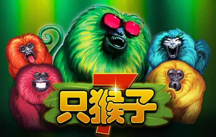3377体育官网址